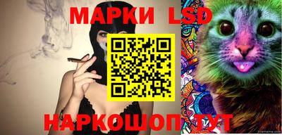 бошки Сланцы