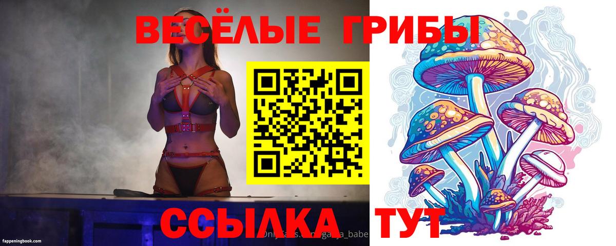 Галлюциногенные грибы мицелий Орск