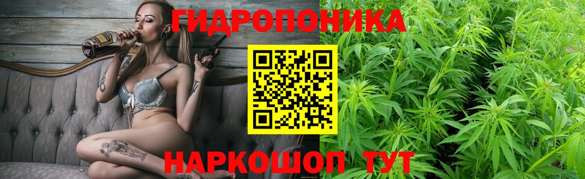 Бошки Шишки план Орск
